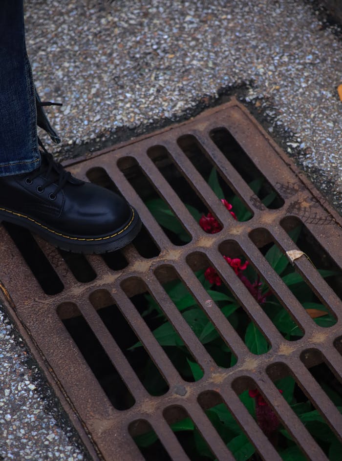 Close-up of a foot in black boot next to vibrant red flowers through a drain.
